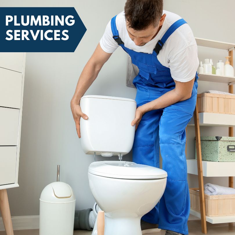 Plumbing Company in Palos Hills, IL
